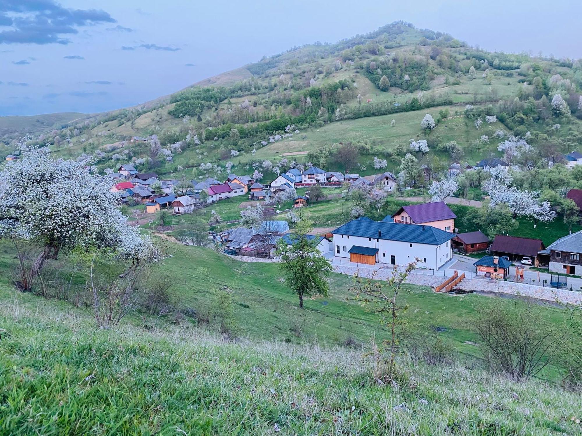 Pensiunea Suci Botiza Bagian luar foto